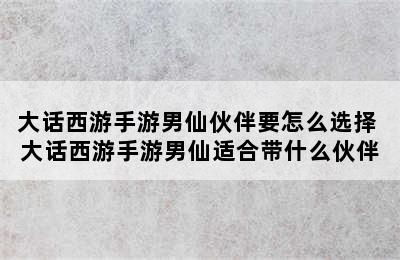 大话西游手游男仙伙伴要怎么选择 大话西游手游男仙适合带什么伙伴